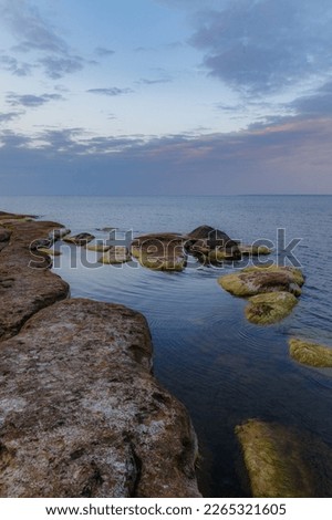 Beauty sea rocky coast with green moss on the stones. Blue hour time.