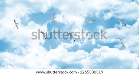 Sunny sky and sea birds. Bottom-up view of a flock of seagulls flying in the cloudy sky. 
