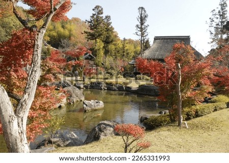 Old traditional Japanese garden during the autumn.