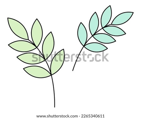 Two branches from a rowan tree. Green vegetation. Leaves on the stem. Set of color vector illustrations. Cartoon style. Isolated background. Idea for web design.
