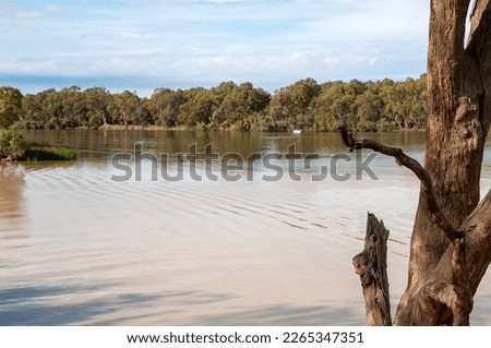 Wentworth Australia, where the muddy darling river meets the clear flowing murray river Royalty-Free Stock Photo #2265347351