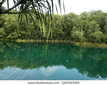 A peaceful photo spot in Lake Eacham