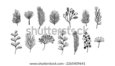 Plant branch and leaf icon, floral hand drawn vector set isolated on white background. Doodle vintage nature vector illustration