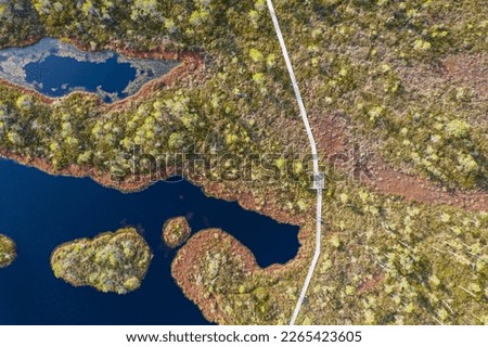 A drone photo of expansive summer swamps with winding streams, tall reeds and grasses, and green and brown wetlands. Capturing the natural serene nature scenery of this remote and unspoiled wilderness