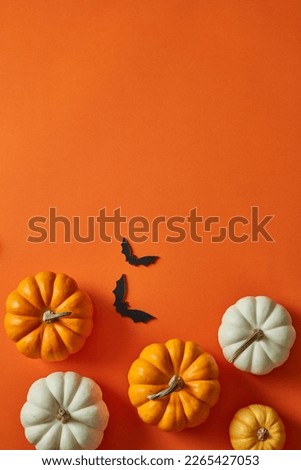 Halloween pumpkins decorated on orange background with bat stickers. Blank space for adding text or products