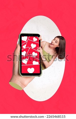 Picture poster banner collage of lady influencer enjoy social network notification likes smart gadget