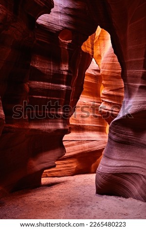 Bear shaped outline of rock formations in the Upper Antelope Canyon in Arizona, USA