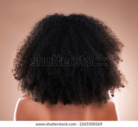 Natural hair, black woman with afro and beauty, haircare and cosmetics with back on studio background. Female, cosmetic treatment with curly hairstyle, rear view and texture with hygiene and grooming Royalty-Free Stock Photo #2265500269