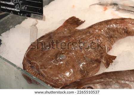 angler fish lies on the ice Royalty-Free Stock Photo #2265510537