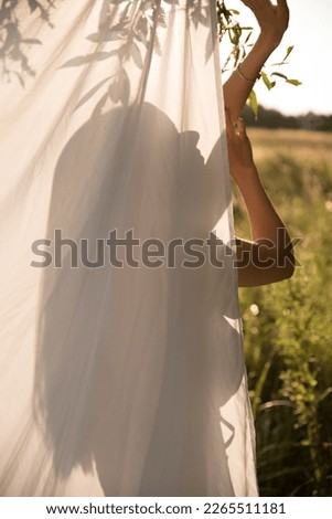Beautiful young bride in a white wedding dress and veil in the field