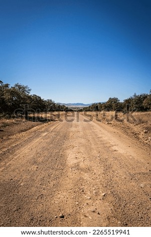 A dirt road leading off into the distance to mountains on the horizon under a clear blue sky. Royalty-Free Stock Photo #2265519941