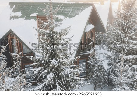 Winter snowy wooden cottage, Snow-covered trees near the house.