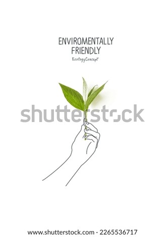 Environmentally friendly planet Concept. Sprout with green leaves and a sketch of a supporting hands. Environmentally friendly planet Concept. Think Green. Top view. Flat lay. Royalty-Free Stock Photo #2265536717