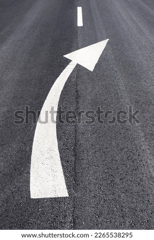 Traffic sign painted on the asphalt indicating curves