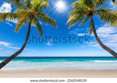 Sunny tropical beach with palm trees, blue sky and turquoise sea Summer vacation and tropical beach concept.  