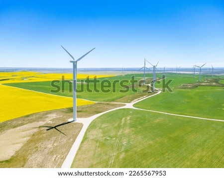 Wind farm and Canola farm together