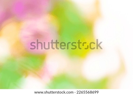  Fresh spring flowers with  bokeh and sunlight natural background
