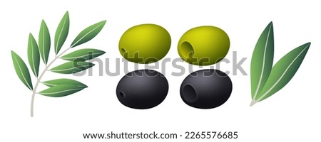 Green and black olives. Fruits and a branch of an olive. Vector set. Royalty-Free Stock Photo #2265576685