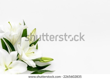 Branch of white lilies flowers. Mourning or funeral background. Royalty-Free Stock Photo #2265602835