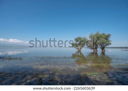View of lake isikli of denizli province with boat trees and reflection at sunset with clouds on blue sky