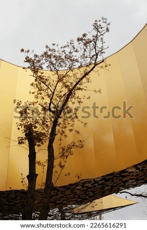 tree growing inside modern building. Sustainable architecture.