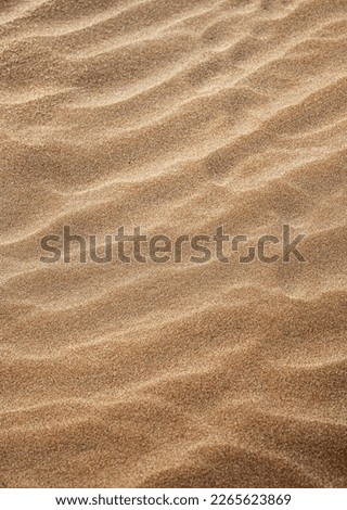 Background with beach sand wave close-up. Sand dunes on a sunny summer day. Free space for text.