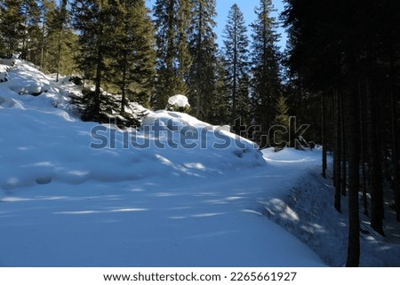 
Photo of a snowy path