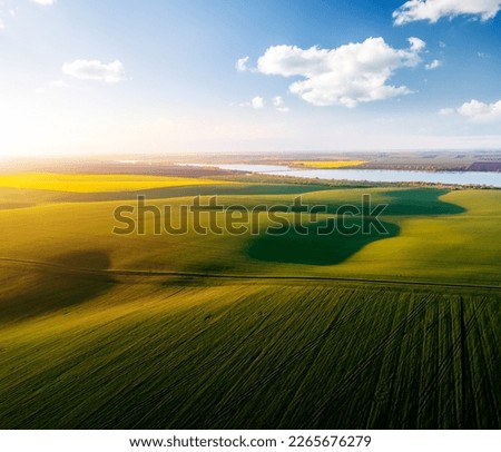 Top view of green undulating terrain with white fluffy clouds and shadows from sunlight. Aerial photography. Agricultural area of Ukraine, Europe. Concept of agrarian industry. Beauty of earth.