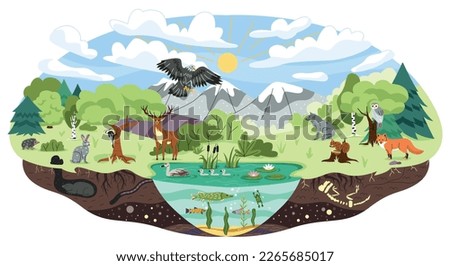 Concept of ecosystem. Biodiversity and different forest habitats, carnivore animals. Wild life and environment, biology, flora and fauna. Ecology and nature. Cartoon flat vector illustration