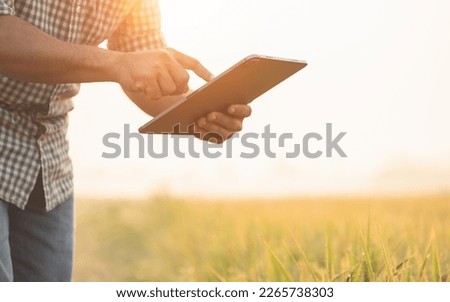 Asian farmer working in the rice field. Man using using digital tablet to examining, planning or analyze on rice plant after planting. Agriculture business concept