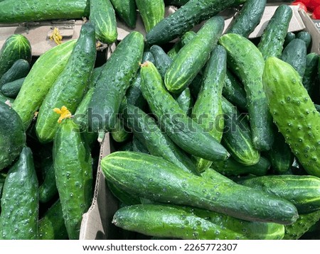 cucumbers are long in boxes in the store Royalty-Free Stock Photo #2265772307