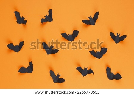 bats perch on the orange wall