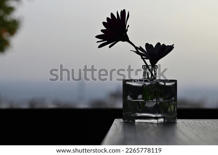 Interior decoration: wild flowers in a glass vase on a wooden cabinet next to a large window
