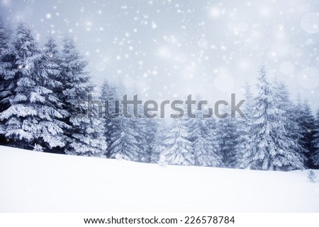 Christmas background with snowy fir trees 