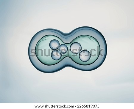 Cells division process, Cell divides into two cells Royalty-Free Stock Photo #2265819075