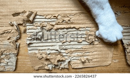 Close-Up Of Cat Paw Over brown cardboard filled with cat scratches