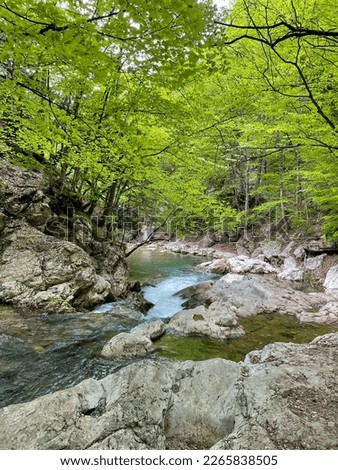 a fast river flows among the stones in the forest hike journey
