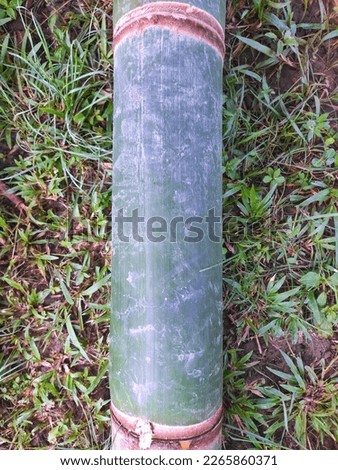 Betung bamboo (Dendrocalamus asper). It has a large girth consisting of segments. the length of each bamboo segment between 20 to 45cm. Pattern, Background.