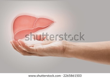 Man holding liver illustration against gray wall background. Concept with mental health protection and care.