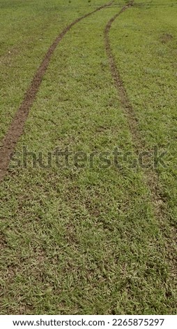 road marks from car wheels in the wide grass