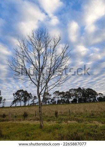 Rural landscape with beautiful cloudy sky, country photography