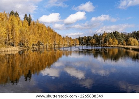 Autumn landscape on a sunny day, on the lake. Melnichny Stream, Leningrad Region, Northwest Russia Royalty-Free Stock Photo #2265888549