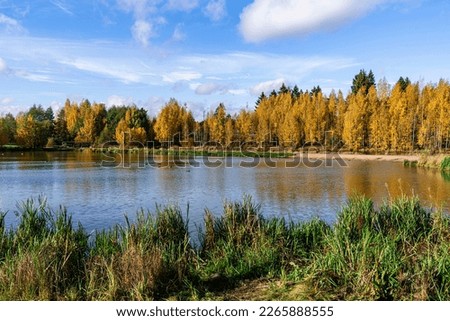 Autumn landscape on a sunny day, on the lake. Melnichny Stream, Leningrad Region, Northwest Russia Royalty-Free Stock Photo #2265888555