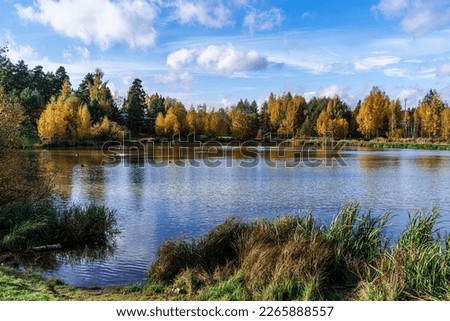 Autumn landscape on a sunny day, on the lake. Melnichny Stream, Leningrad Region, Northwest Russia Royalty-Free Stock Photo #2265888557