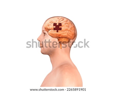 Brain shaped white jigsaw puzzle on white background, a missing piece of the brain puzzle, mental health and problems with memory, 3d render