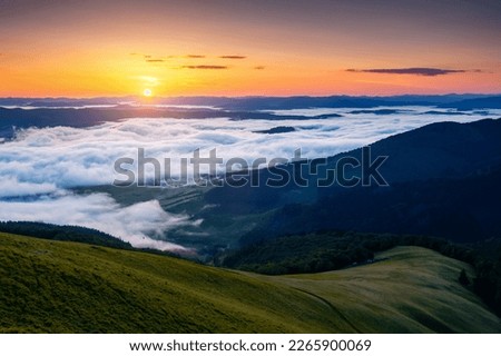 Gorgeous thick fog covers the mountains in the rays of morning light. Location place Carpathian mountains, Ukraine, Europe. Aerial photography. Perfect photo wallpaper. Discover the beauty of earth.