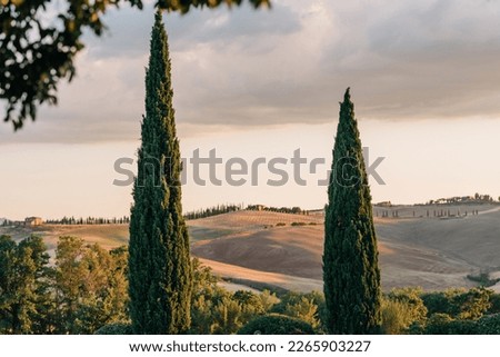 Classic Tuscany valley landscape at sunset with cypress trees and hills view