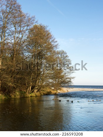 Small river flowing into the Baltic sea.