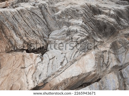 stone or rock image in the forest stock photos