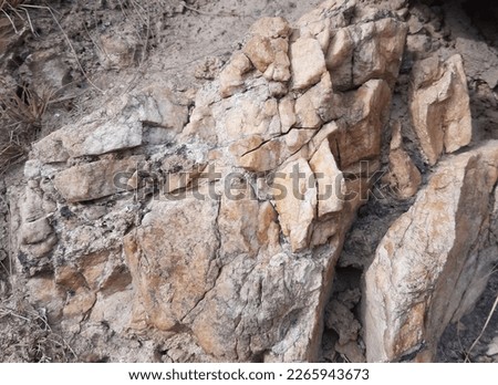 stone or rock image in the forest stock photos